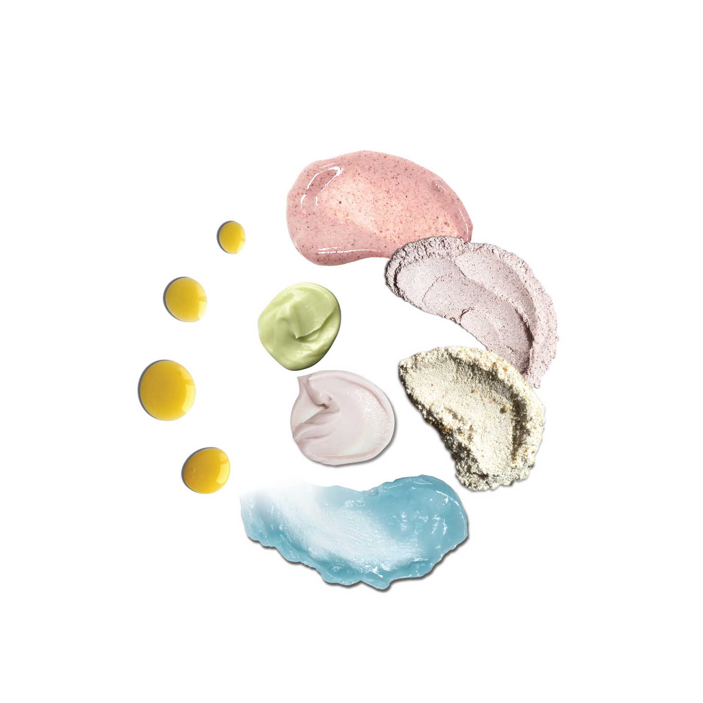 UNDERSTORY DISCOVERY KIT