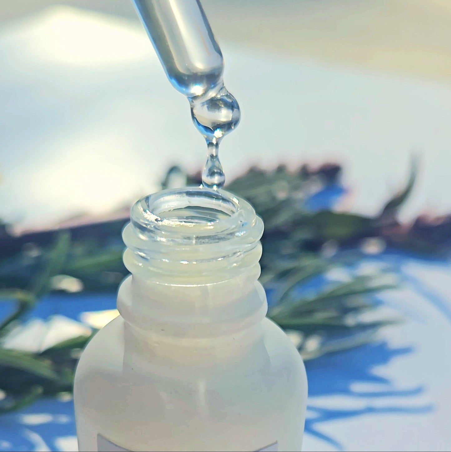 HOLIDAY GIFT BOX 2025