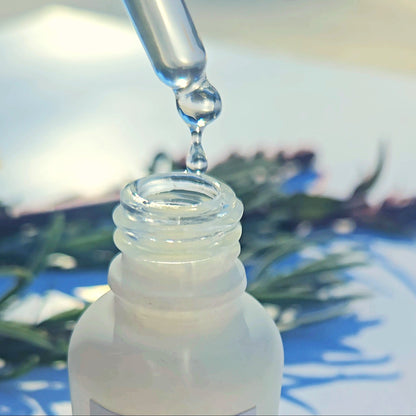 HOLIDAY GIFT BOX 2025