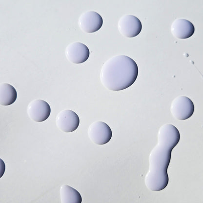 HOLIDAY GIFT BOX 2025