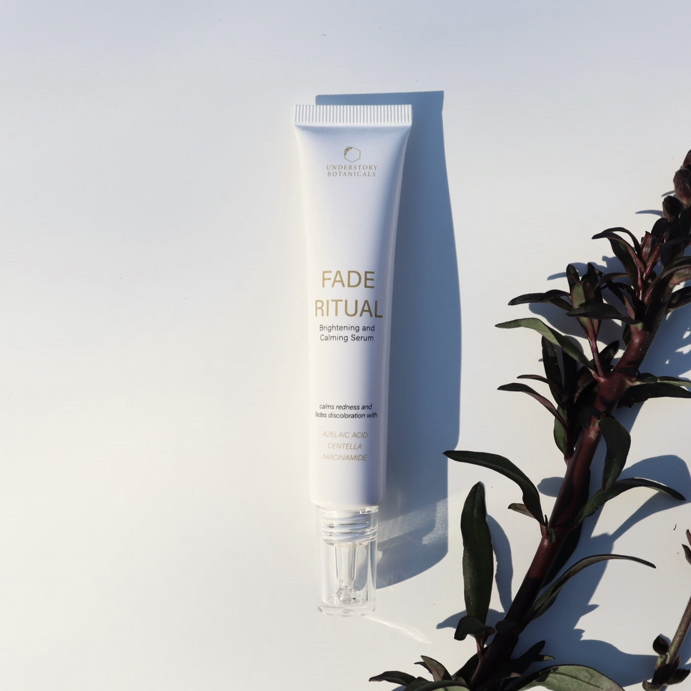 HOLIDAY GIFT BOX 2025